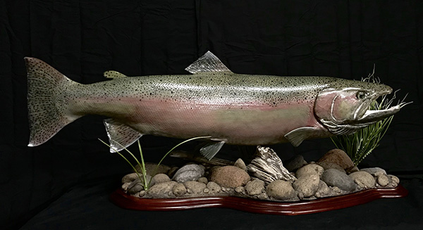 Foothills Taxidermy Pricing