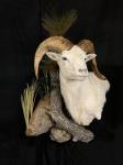 Texas Dall