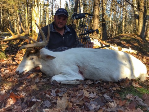 Foothills Taxidermy Hunting Adventures