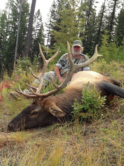 Foothills Taxidermy Hunting Adventures