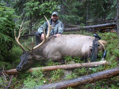 Foothills Taxidermy Hunting Adventures