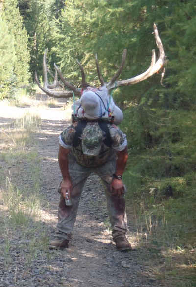 Foothills Taxidermy Hunting Adventures