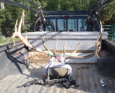 Foothills Taxidermy Hunting Adventures