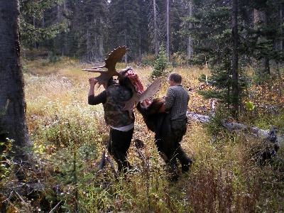 Foothills Taxidermy Hunting Adventures