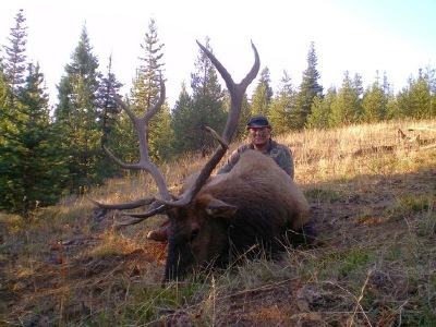 Foothills Taxidermy Hunting Adventures