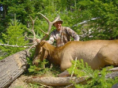 Foothills Taxidermy Hunting Adventures