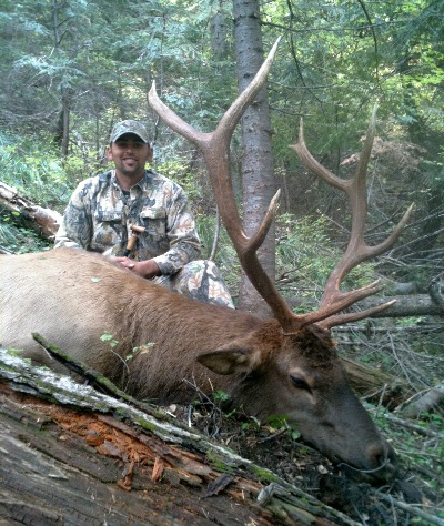 Foothills Taxidermy Hunting Adventures